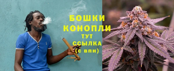 apvp Белокуриха