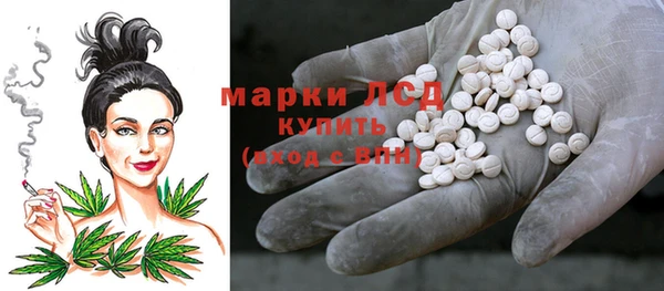 apvp Белокуриха