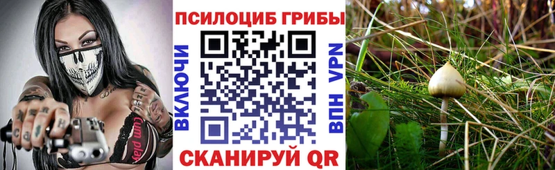 Галлюциногенные грибы MAGIC MUSHROOMS  Власиха 